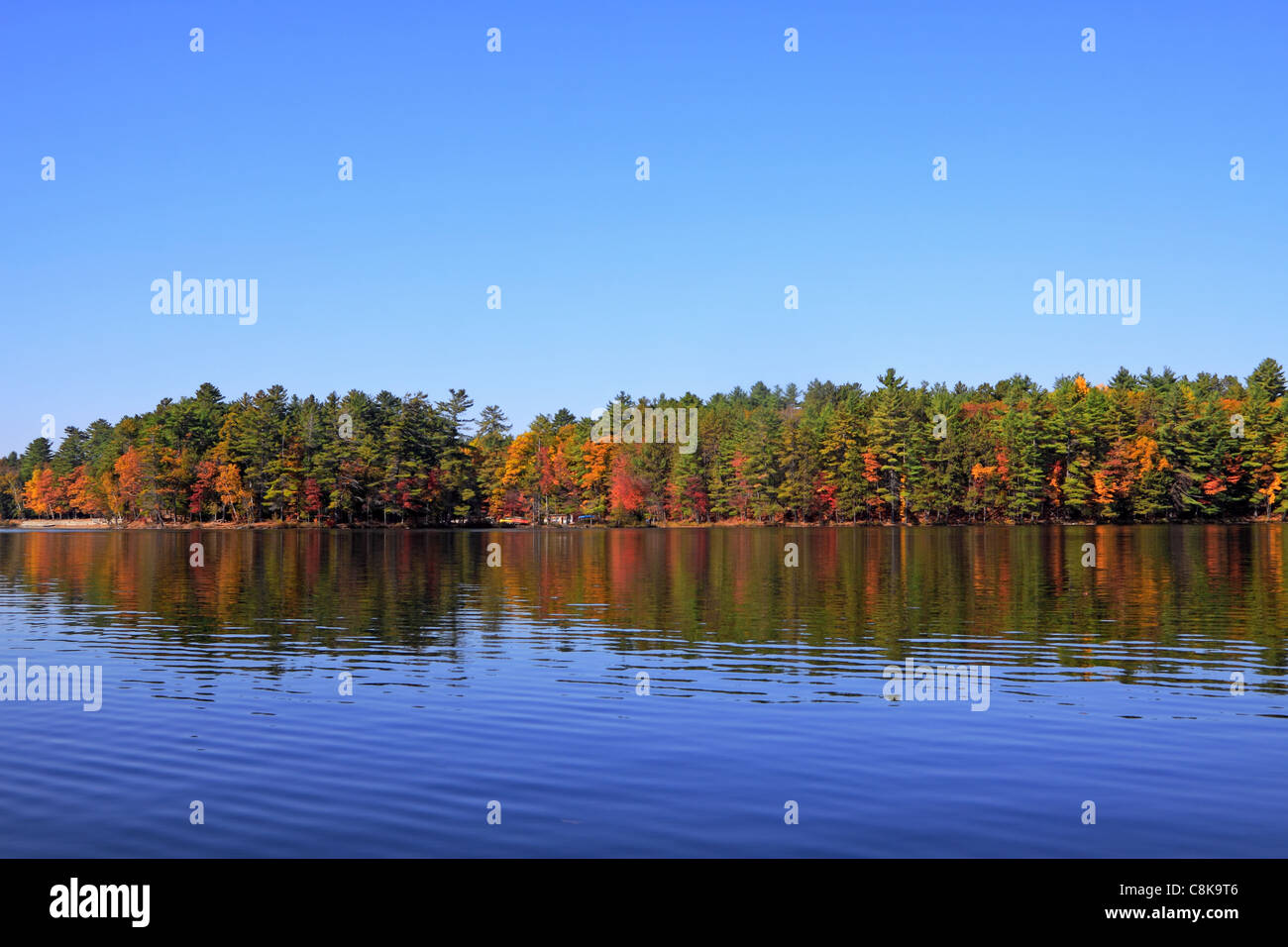 Beach along Lower Mazinaw Lake with canoe rental store in Bon Echo