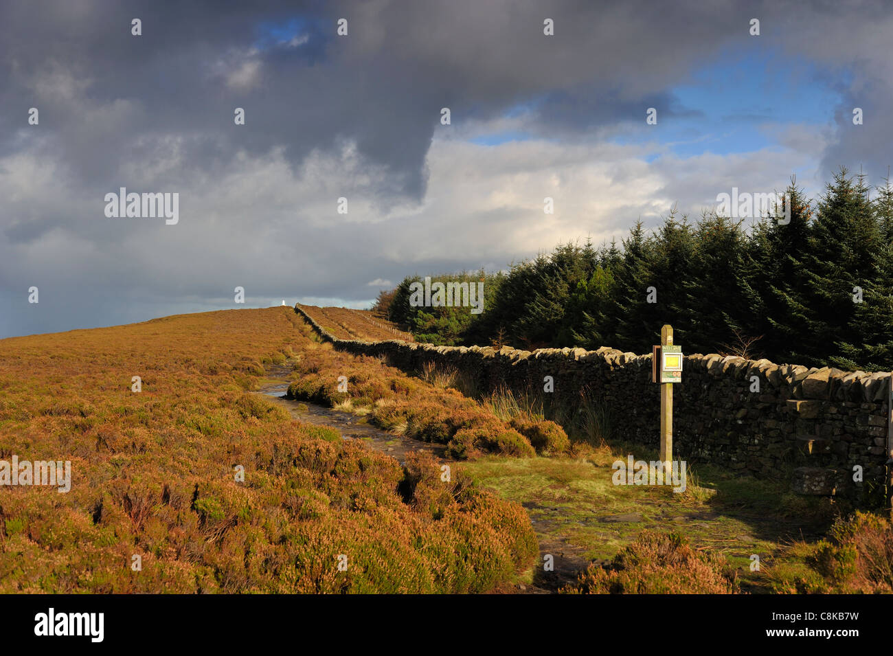 Longridge fell ribble valley lancashire hi-res stock photography and