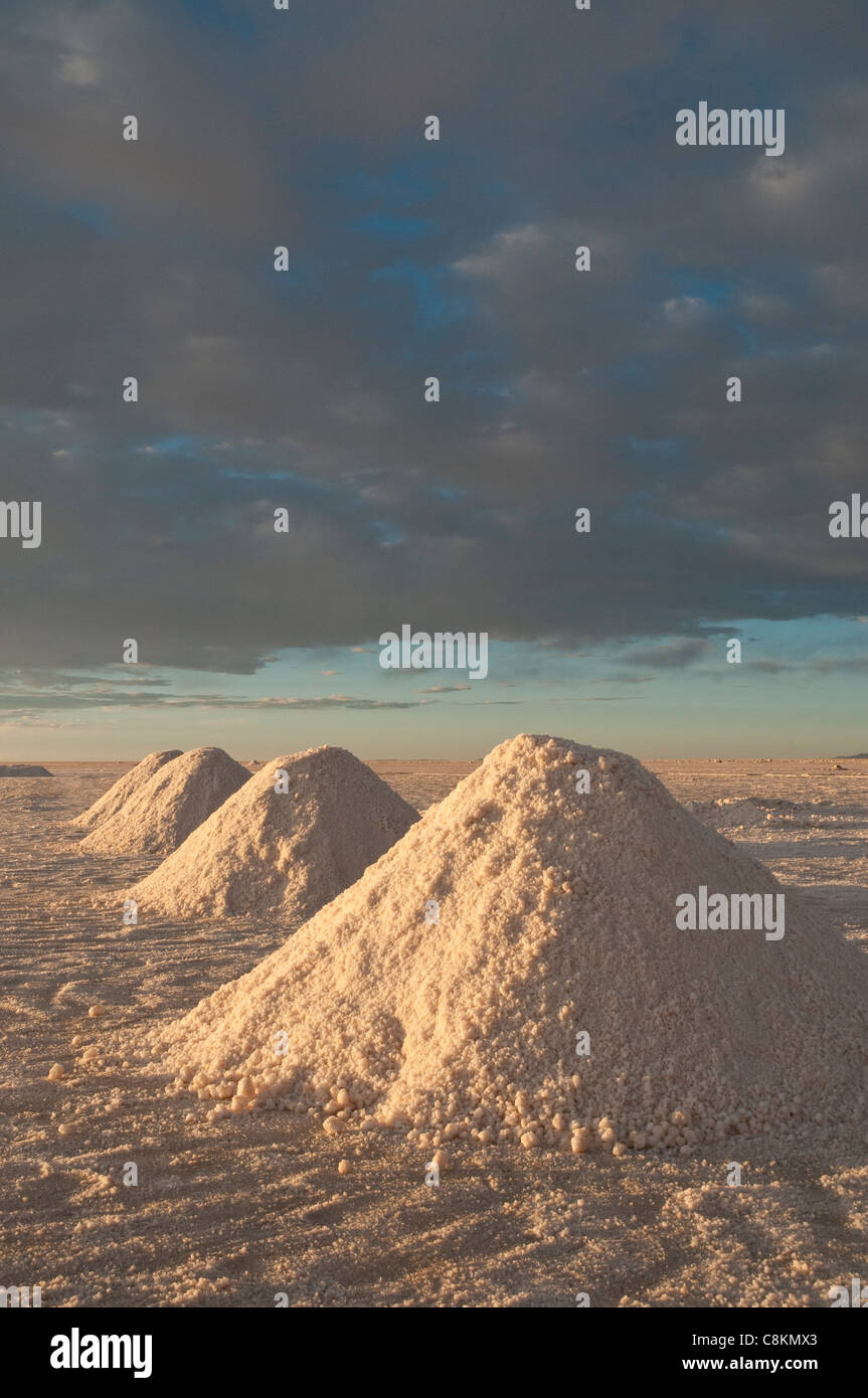 Uyuni salt flat, Collecting salt at Colchani; Potosi region, Bolivia, South America Stock Photo