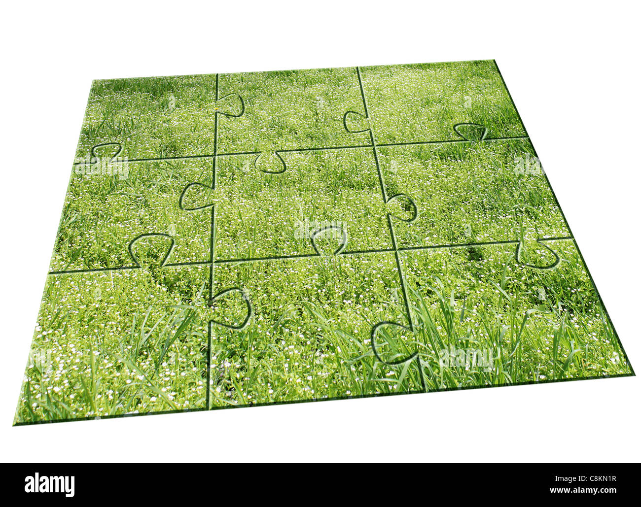 jigsaw puzzle: green grass Stock Photo