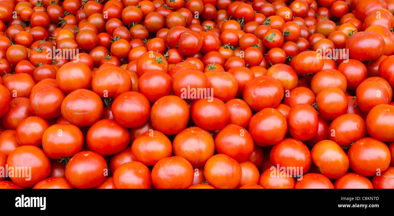 Freshly harvested tomatoes on display at the farmer's market Stock ...