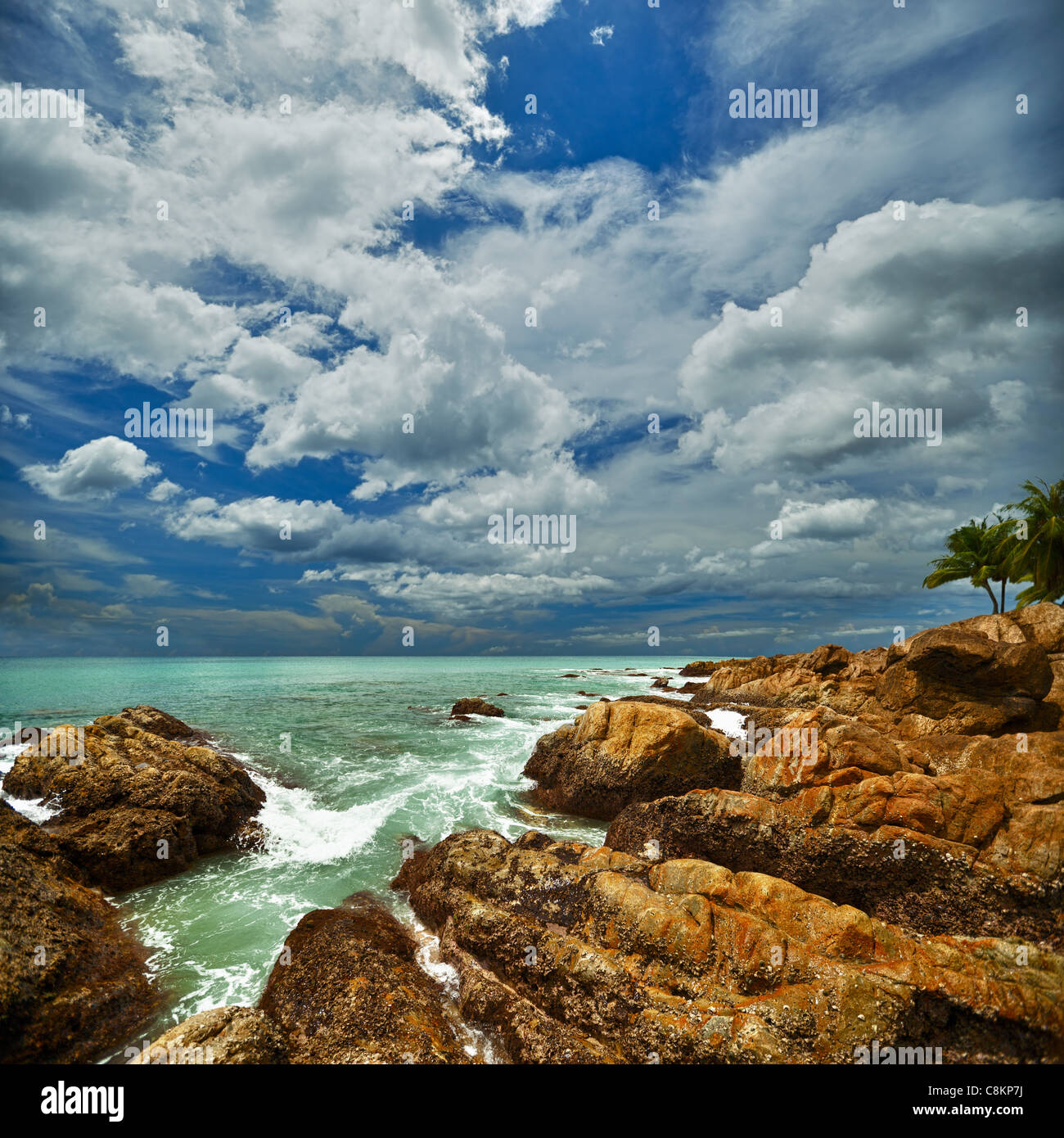 Beautiful square seascape with rocks and palms Stock Photo - Alamy