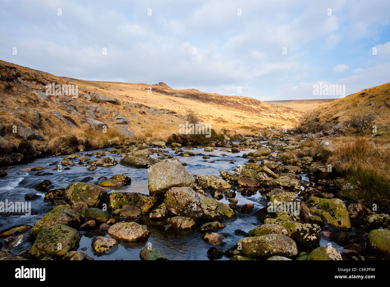 Rugged wild scenery at Tavy Cleave in Dartmoor National Park, Devon England UK Stock Photo