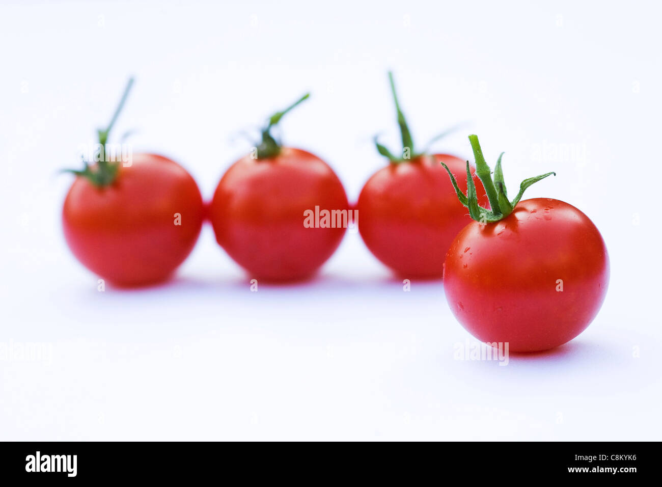 Lycopersicon esculentum. Small cherry tomatoes 'Gardeners Delight' on a white background. Stock Photo