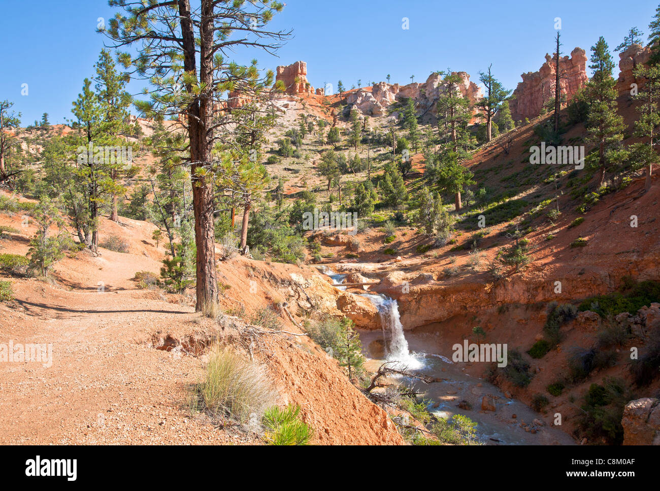 View along Mossy Cave & Waterfall Trail Stock Photo