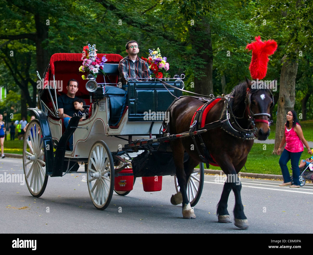 Horse drawn carrige riding through Central park in Manhattan Stock