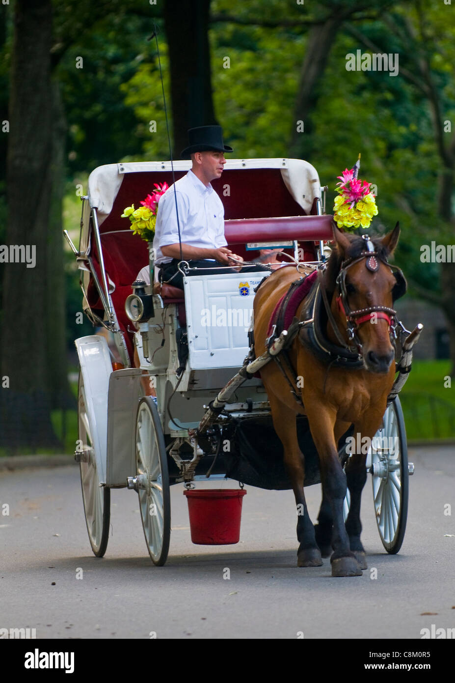 Horse drawn carrige riding through Central park in Manhattan Stock