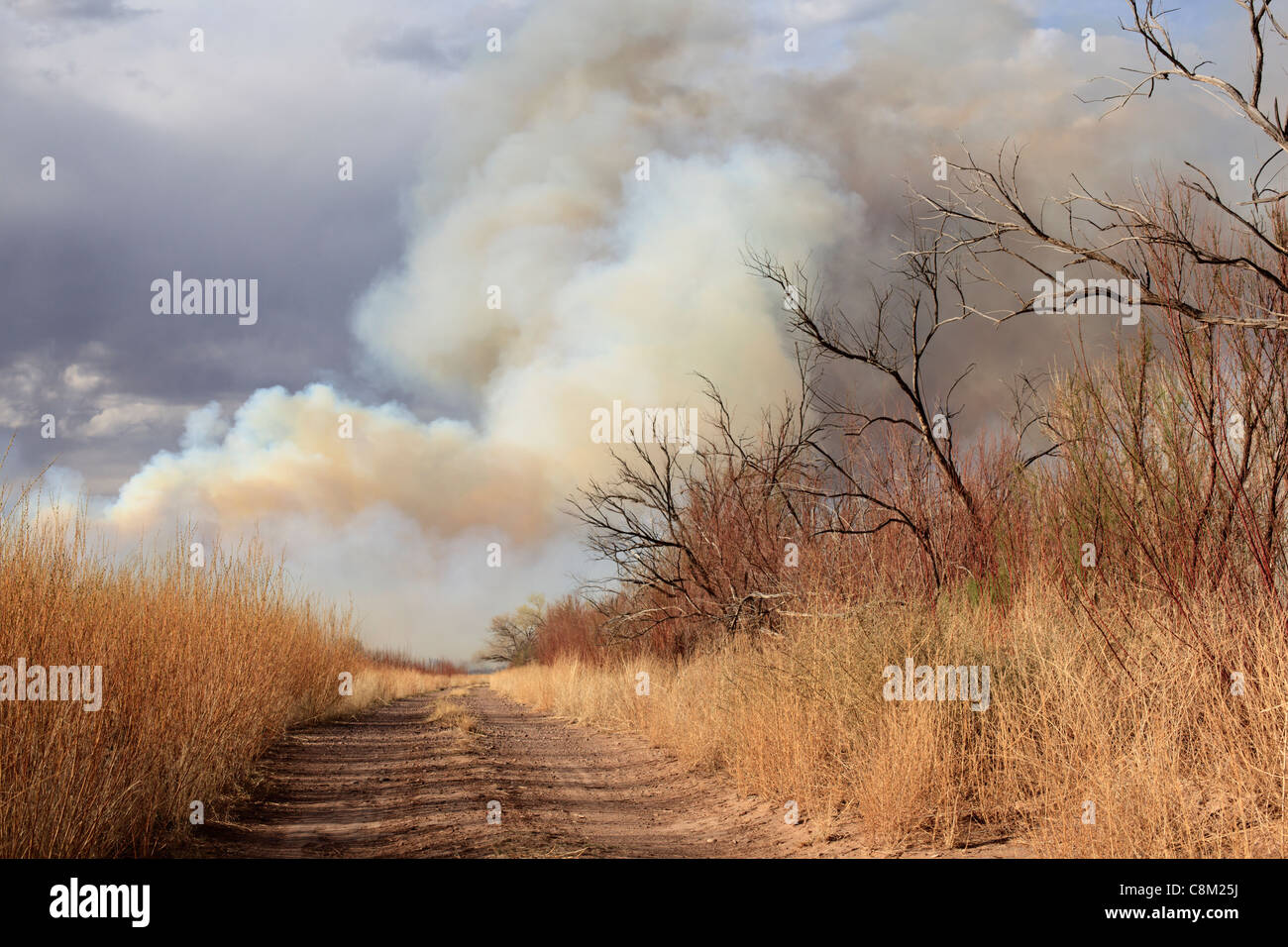 Smoke from a New Mexico wildfire burning in dry terrain. Stock Photo