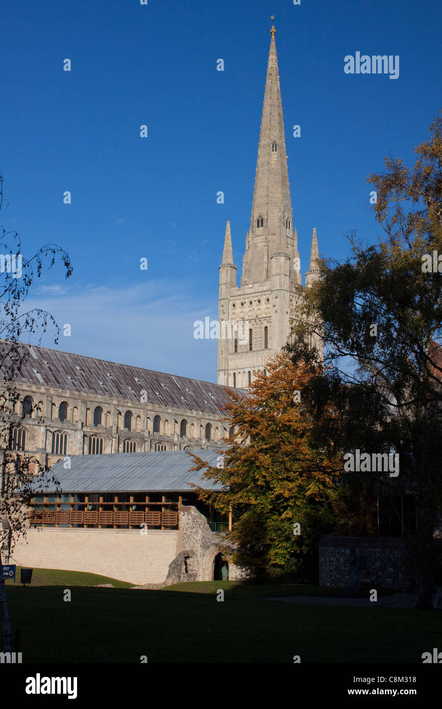 Norwich Cathedral, Norfolk, England. The cathedral has one of the ...
