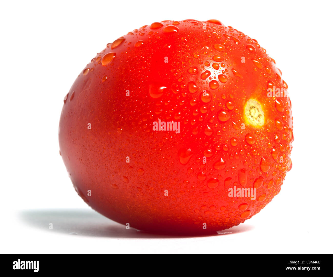 Single red tomato with water drops on white background Stock Photo - Alamy