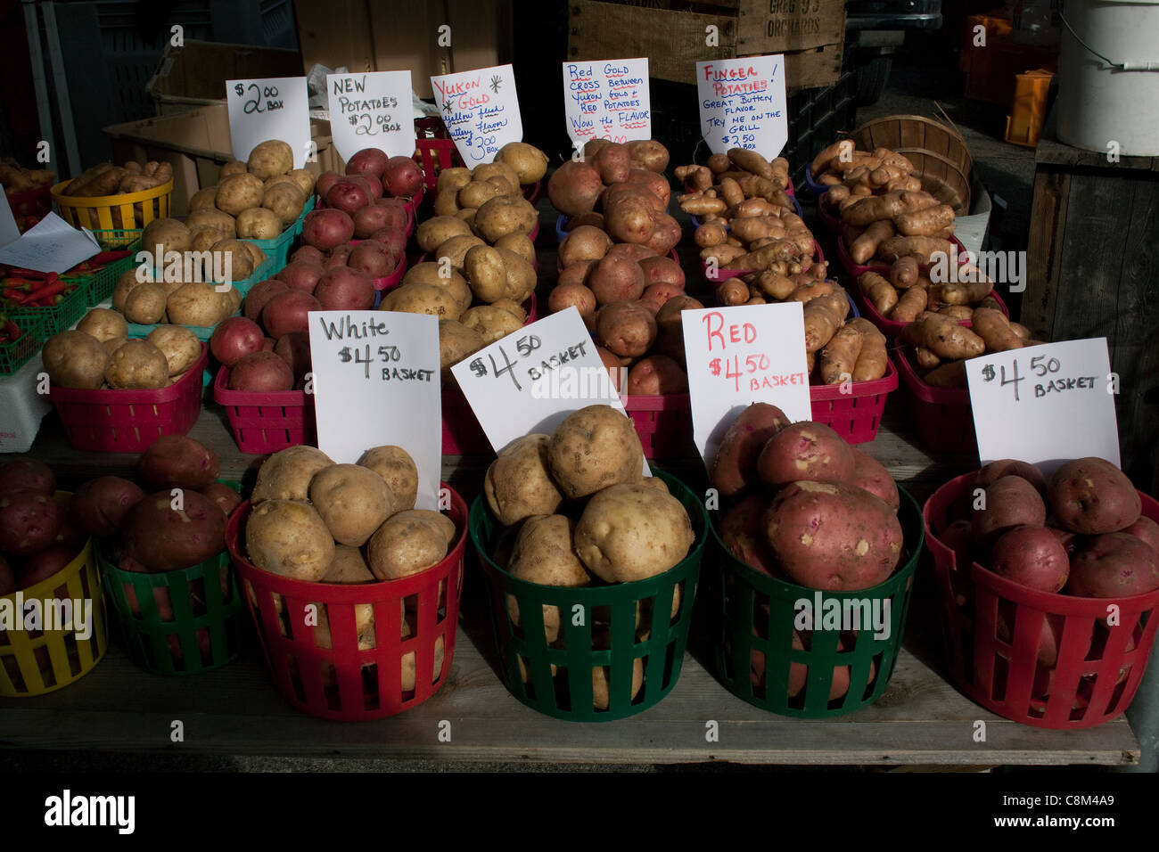 White, Idaho, Red Skins, and Finger Potatoes at Farmer's market, Michigan USA Stock Photo
