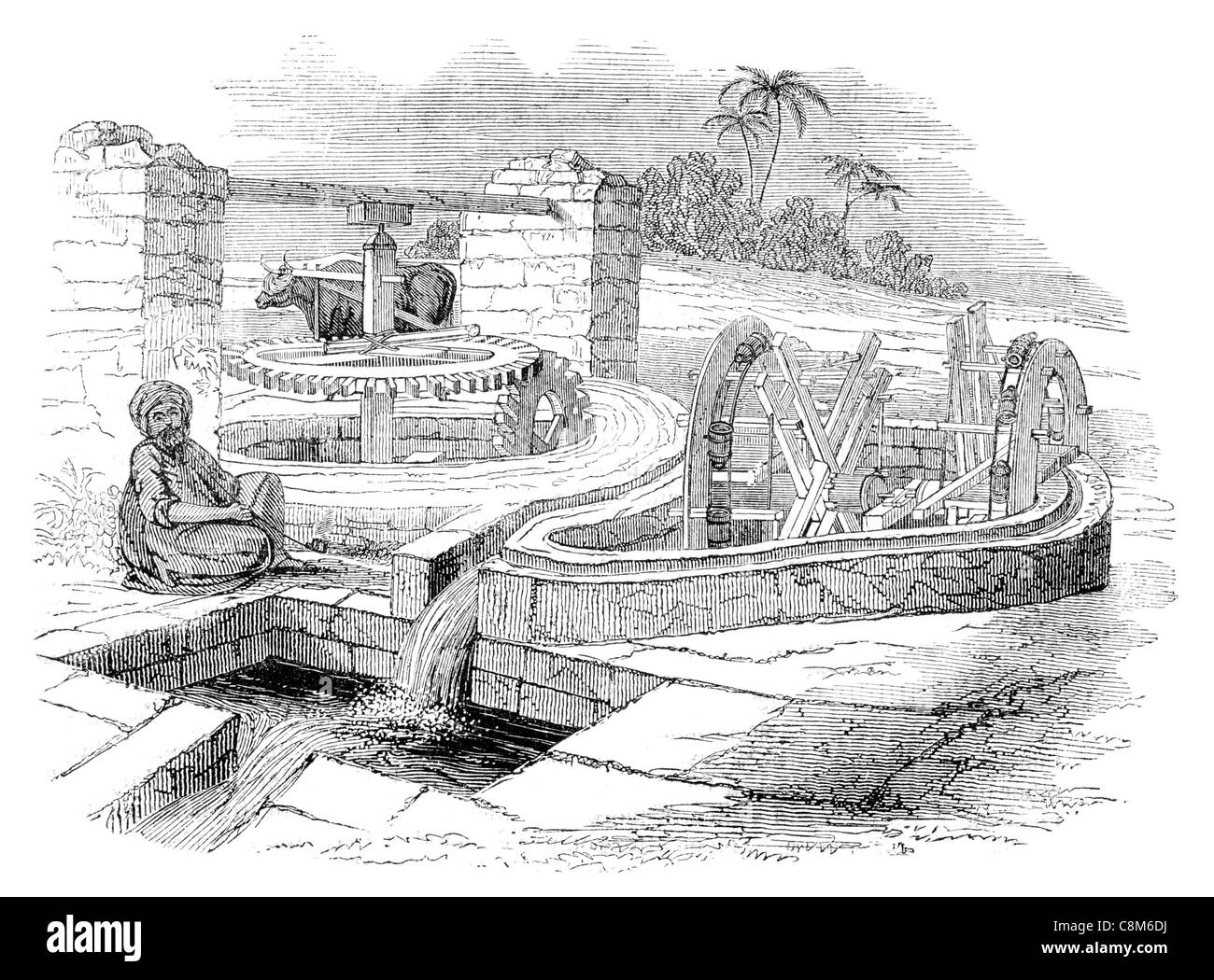 Persian wheel employed in Asia for raising water well spring water supply irrigation pump cog cogs stream Stock Photo