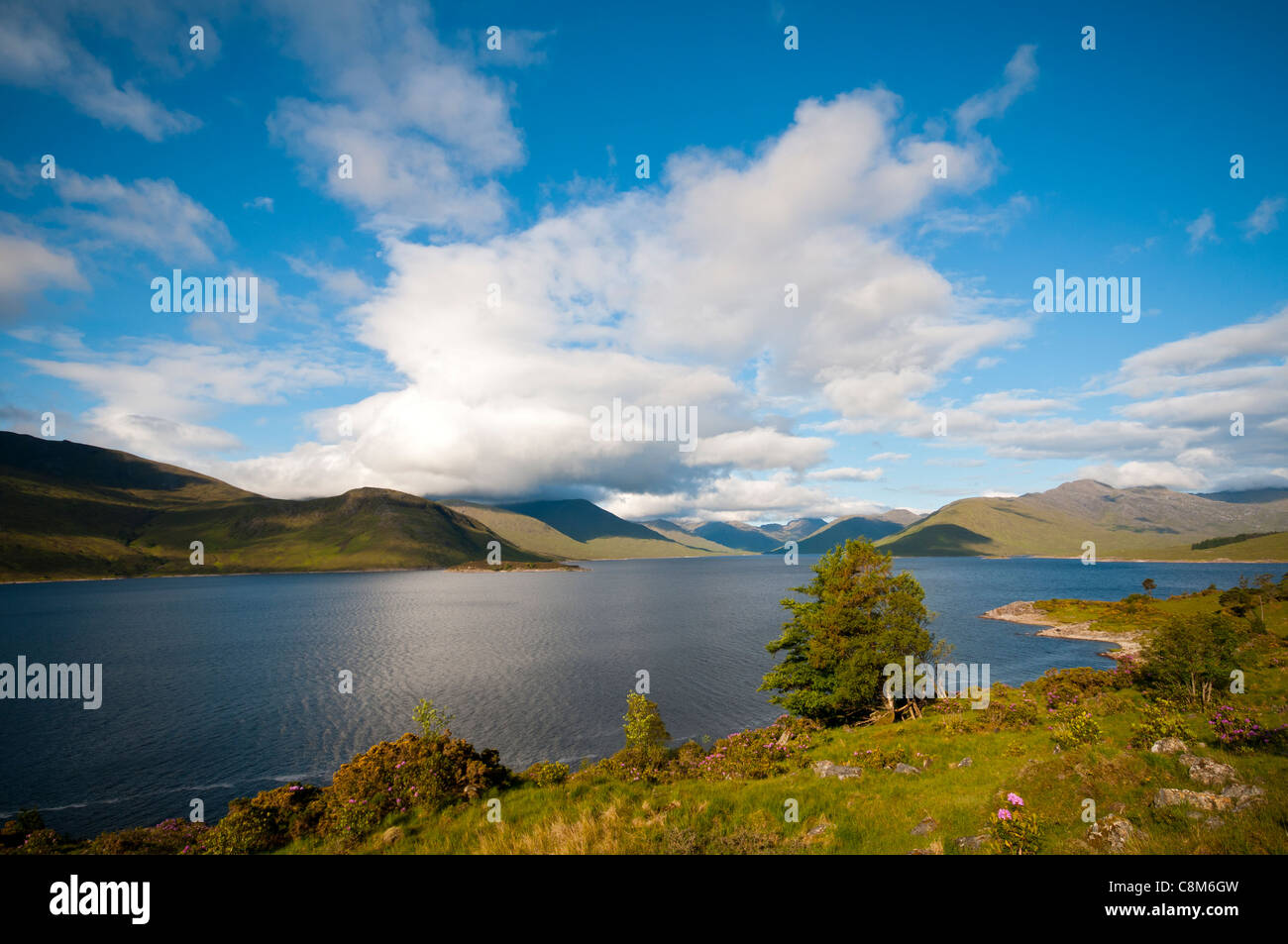 Loch Quoich and the mountains of Knoydart, Glen Garry, Highland region, Scotland, UK Stock Photo