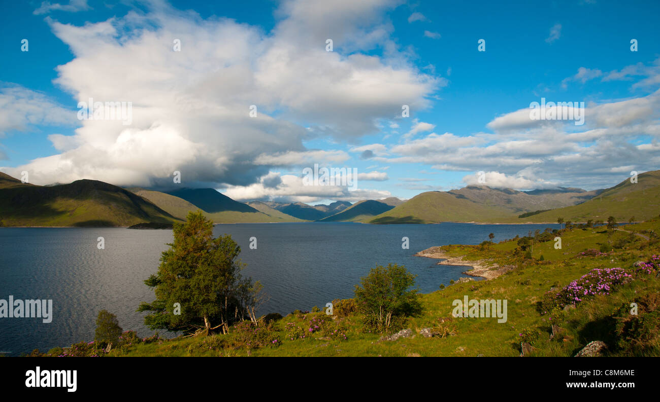 Loch Quoich and the mountains of Knoydart, Glen Garry, Highland region, Scotland, UK Stock Photo