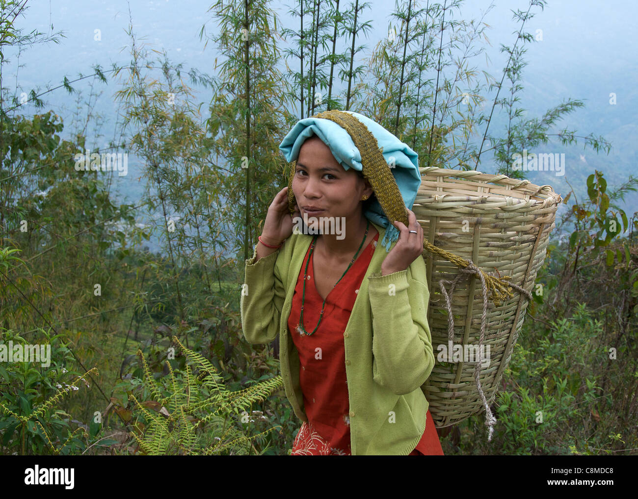 Pretty female tea picker carrying loaded basket of picked tea leaves Temi Tea Estate Sikkim India Stock Photo