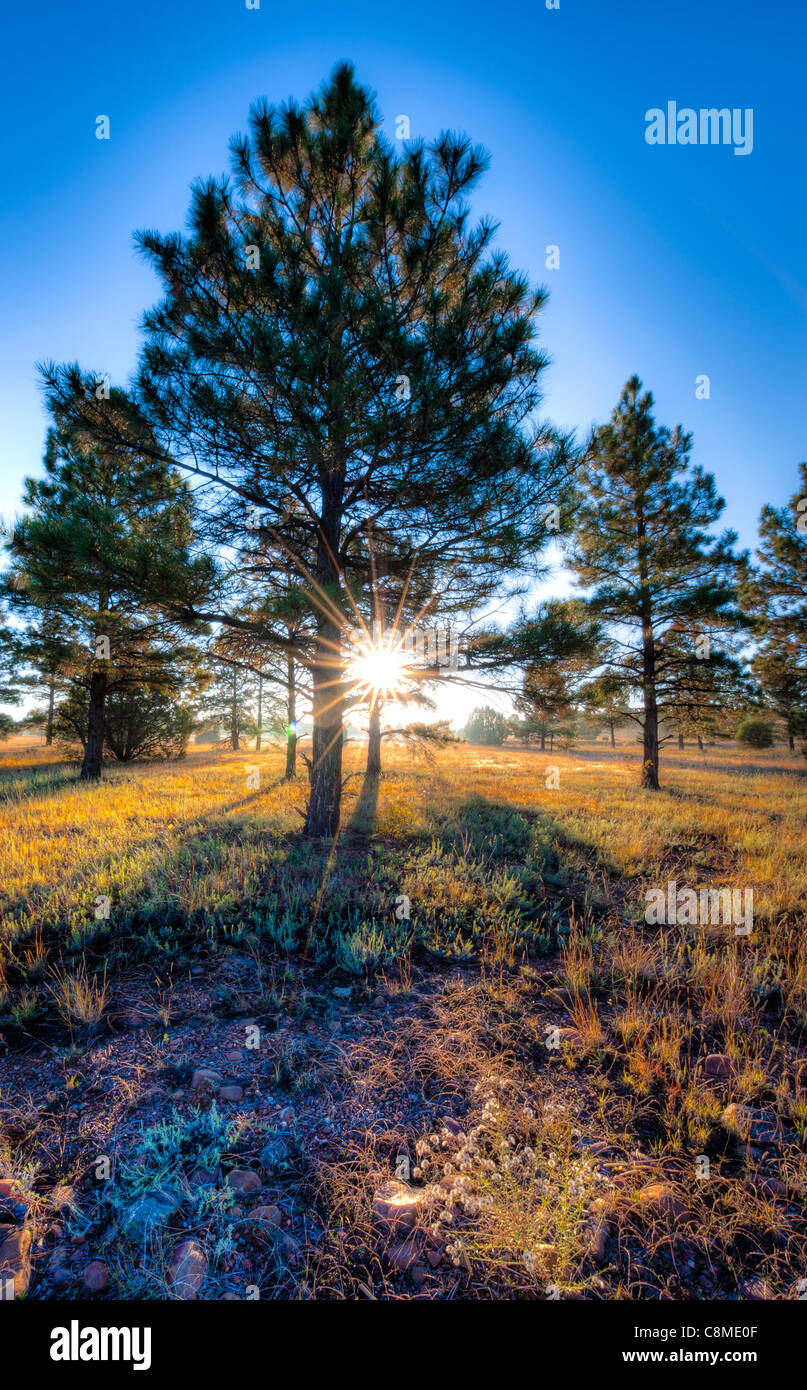 Show Low Rocks Show low arizona hi-res stock photography and images - Alamy