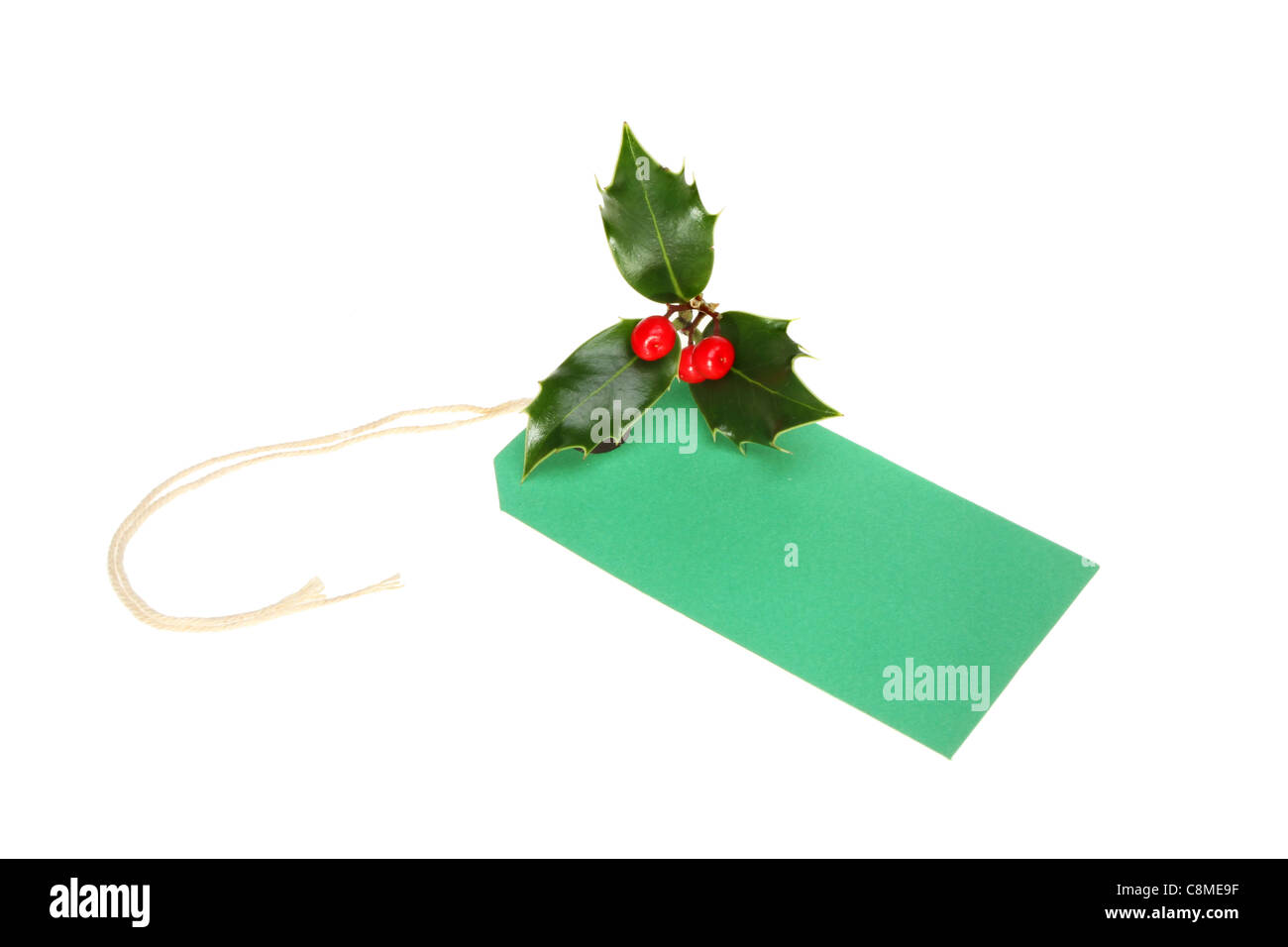 Sprig Green Gift Tags Sprig Green Gift Tags