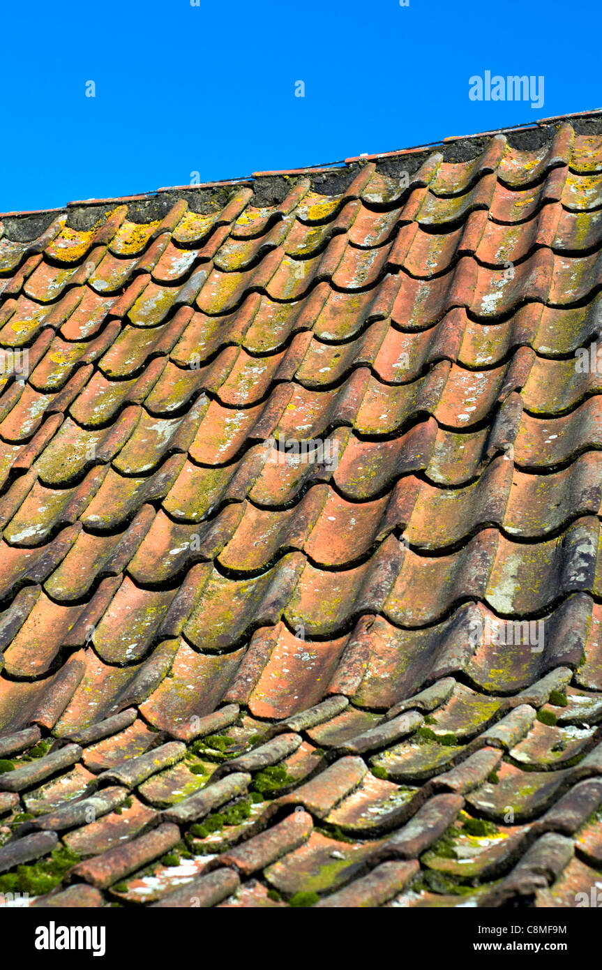 The roof of a building at the Zuiderzee Museum in the Netherlands Stock Photo