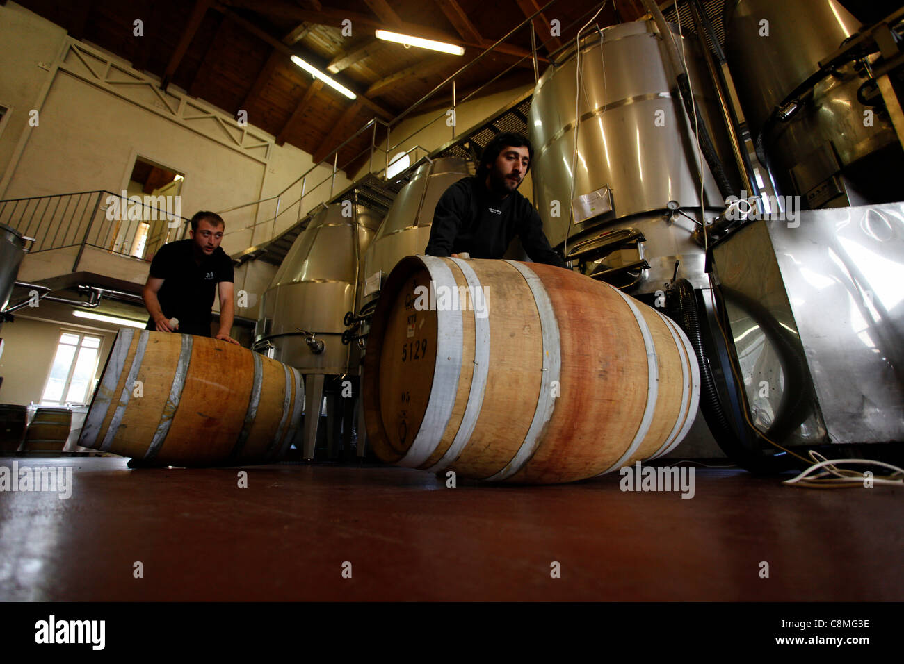 Workers rolling traditional wine barrels in Amphora Winery near Zichron