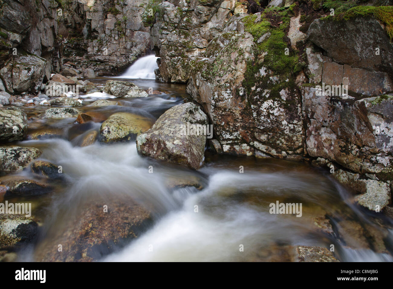Cascade Brook in Franconia Notch State Park of the White Mountains, New ...