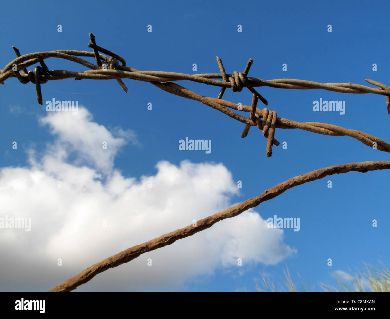 A close up of a rusty section of a barbed wire fence taken against a blue sky and clouds. Stock Photo