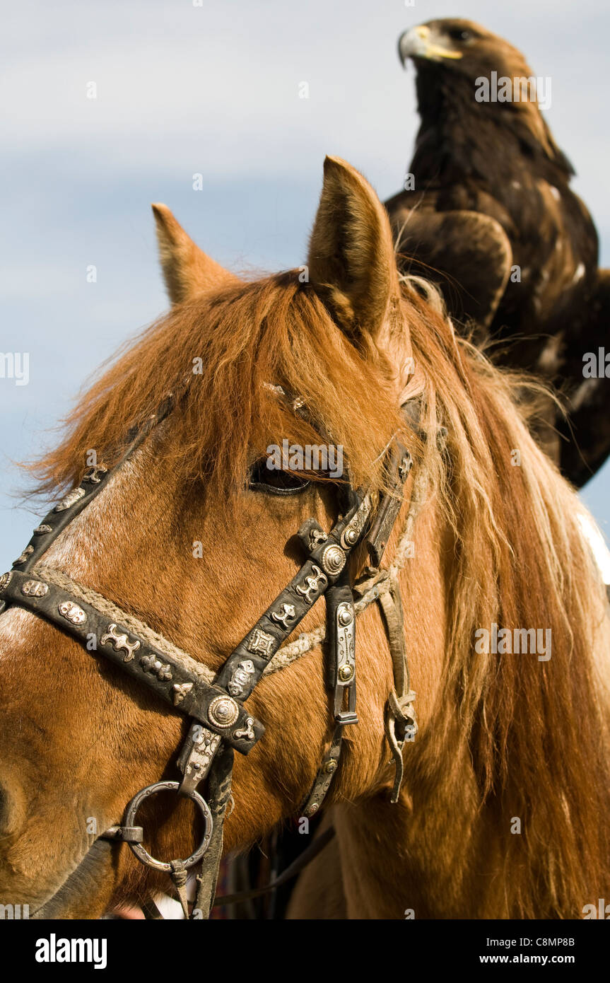 Eagle Riding Corn a golden eagle riding a horse in western Mongolia Stock Photo - Alamy
