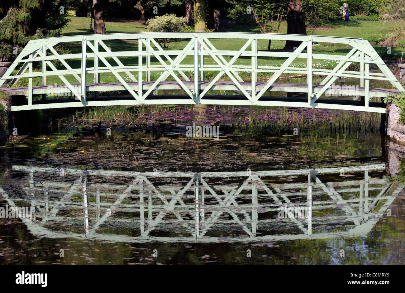 white wrought iron single span arch bridge over a pond botanic gardens dublin design architectural gardening Stock Photo