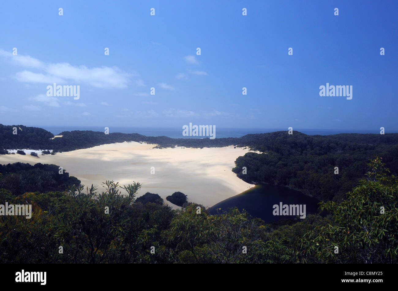 Lake Wabby, Fraser Island World Heritage Area, Queensland, Australia Stock Photo