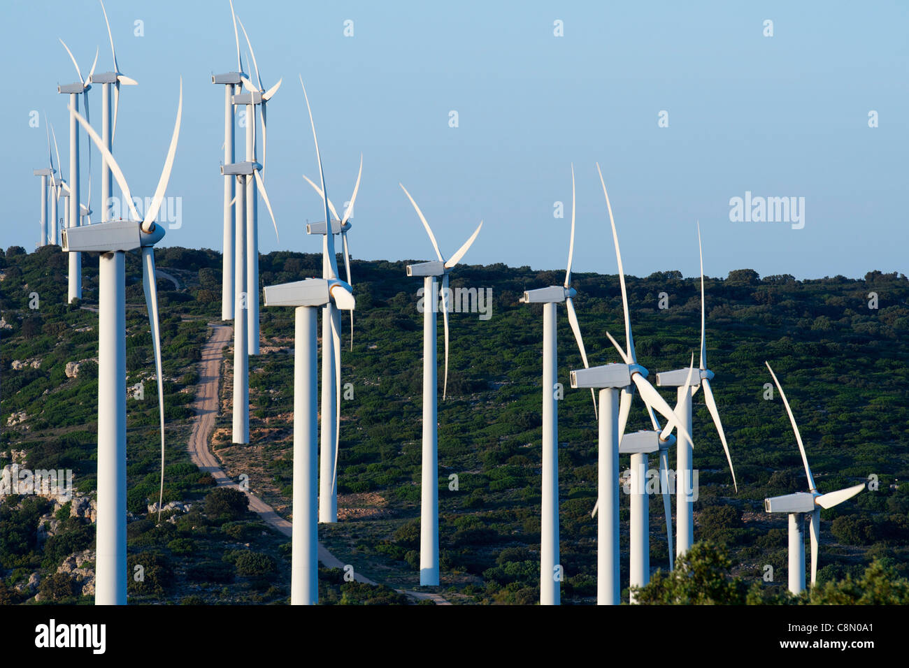 group of windmills in a wooded area, El Buste, Saragosa, Aragon, Spain Stock Photo