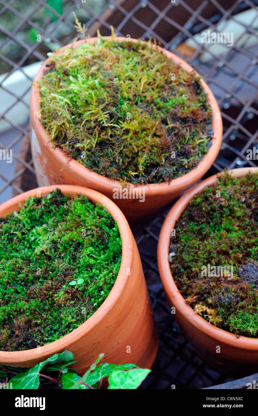 terracotta pots pot garden gardening container old full clay soil peat