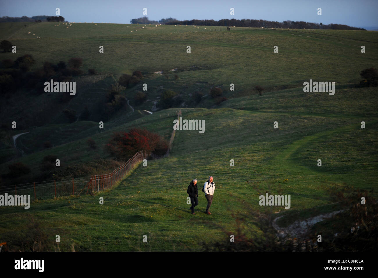 Walking along the South Downs Way at Ditchling Beacon in Sussex late afternoon in Autumn Photograph taken October 2011 Stock Photo