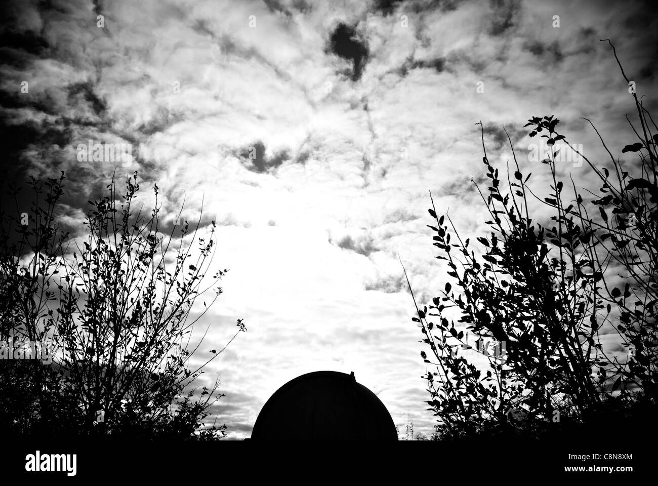 Dome with stars Black and White Stock Photos & Images - Alamy