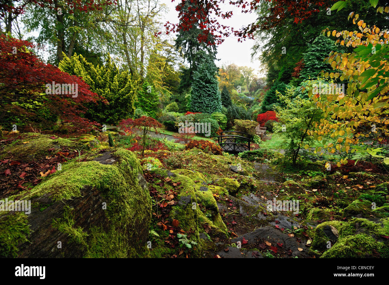 Johnston gardens aberdeen hi-res stock photography and images - Alamy