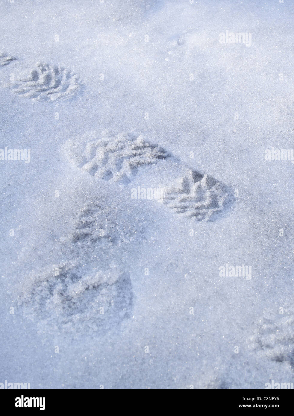 trace on the snow Stock Photo Alamy