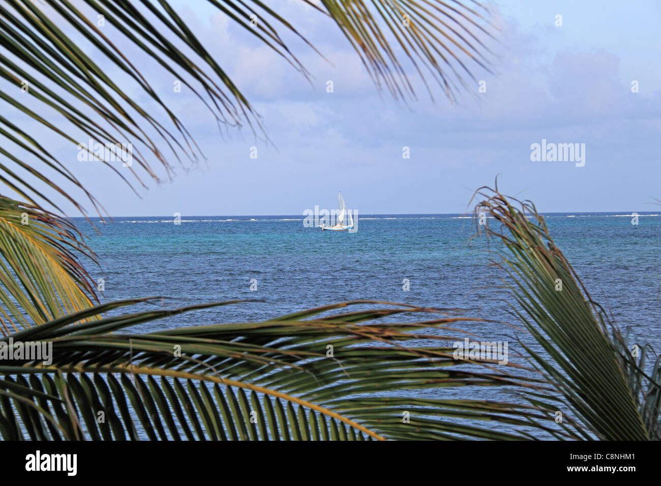 San Pedro, Ambergris Caye (aka La Isla Bonita/The Beautiful Island), Barrier Reef, Belize, Caribbean, Central America Stock Photo