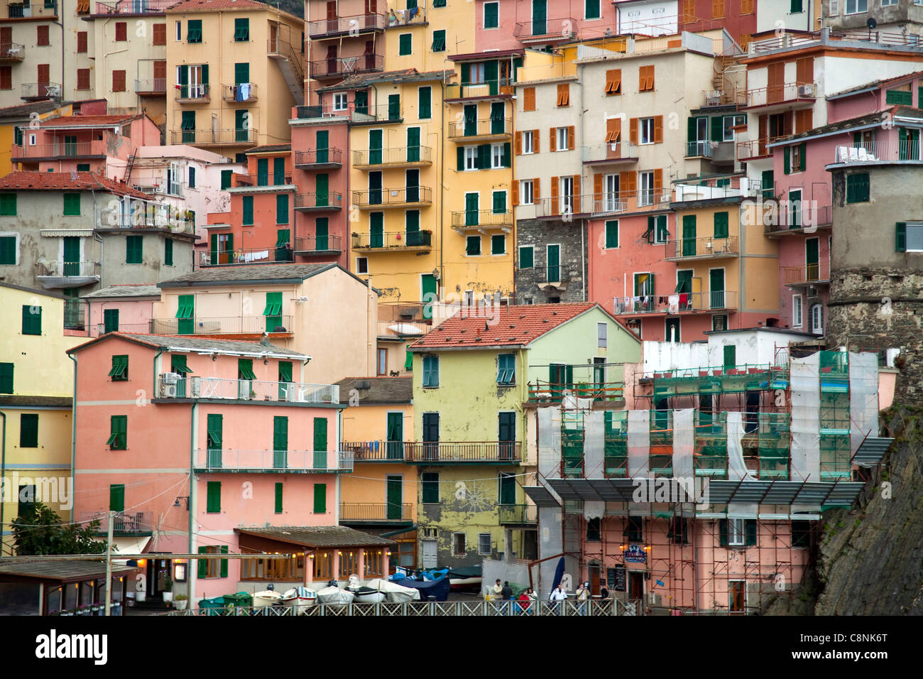 Houses in Manarola on the sea, Cinqueterre, Cinque Terre, Liguria