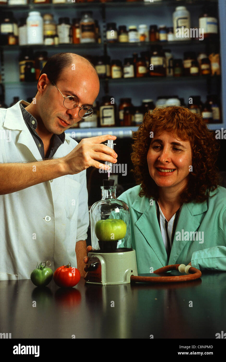 In a laboratory experiment, Bernard Priem and Monia Yunovitz study the ...