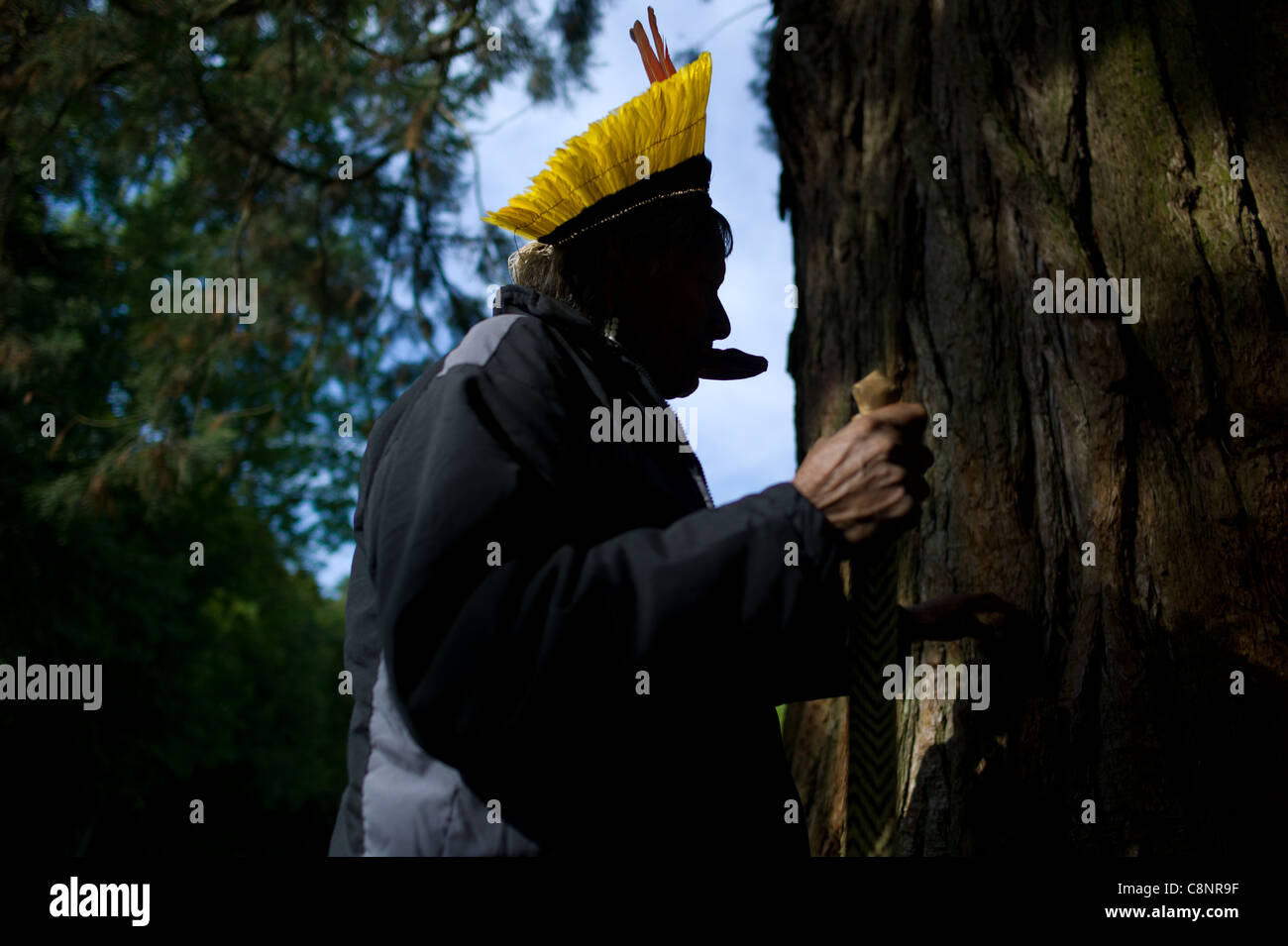 Raoni 'Moulinsart' the Kayapo Indian Chef at the Castle de Cheverny Raoni at the foot of Sequoia Stock Photo