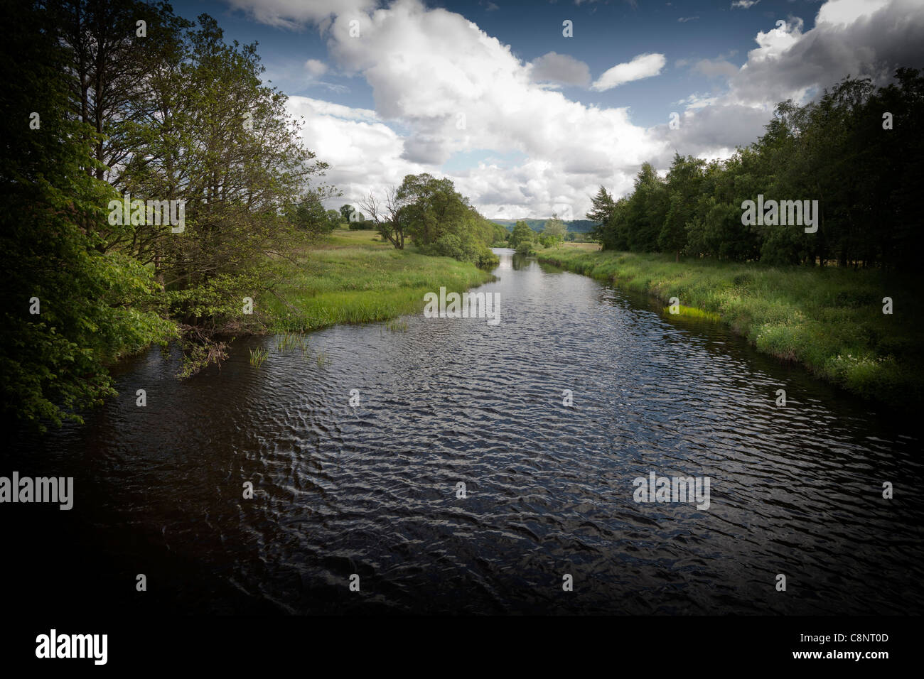 Looking along the river Lowther with grassy riverbank lined with trees ...