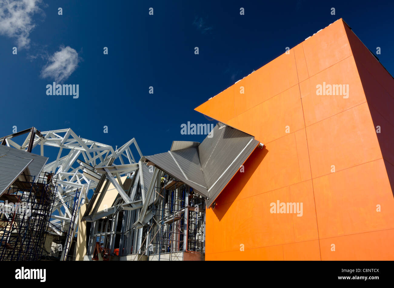 Biodiversity Museum Stock Photo