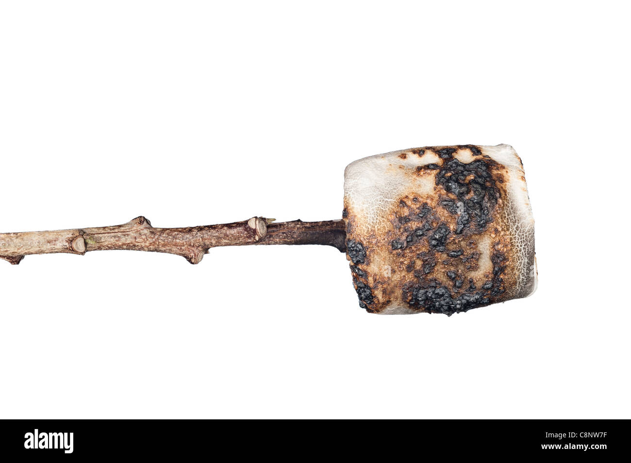 A burned, sweet marshmallow on a stick skewer isolated on white Stock Photo