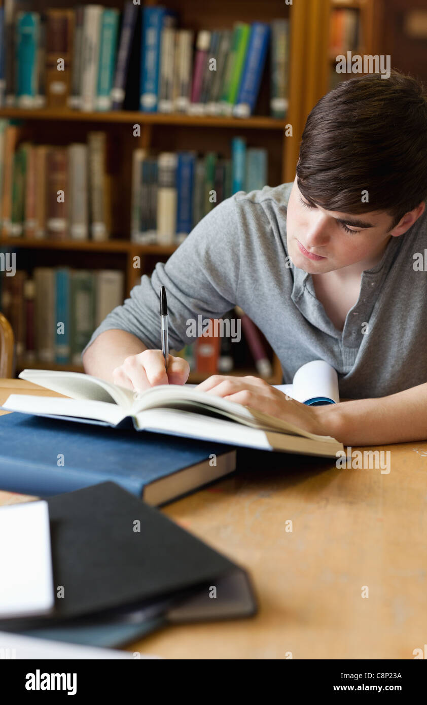 I can and i will essay picture