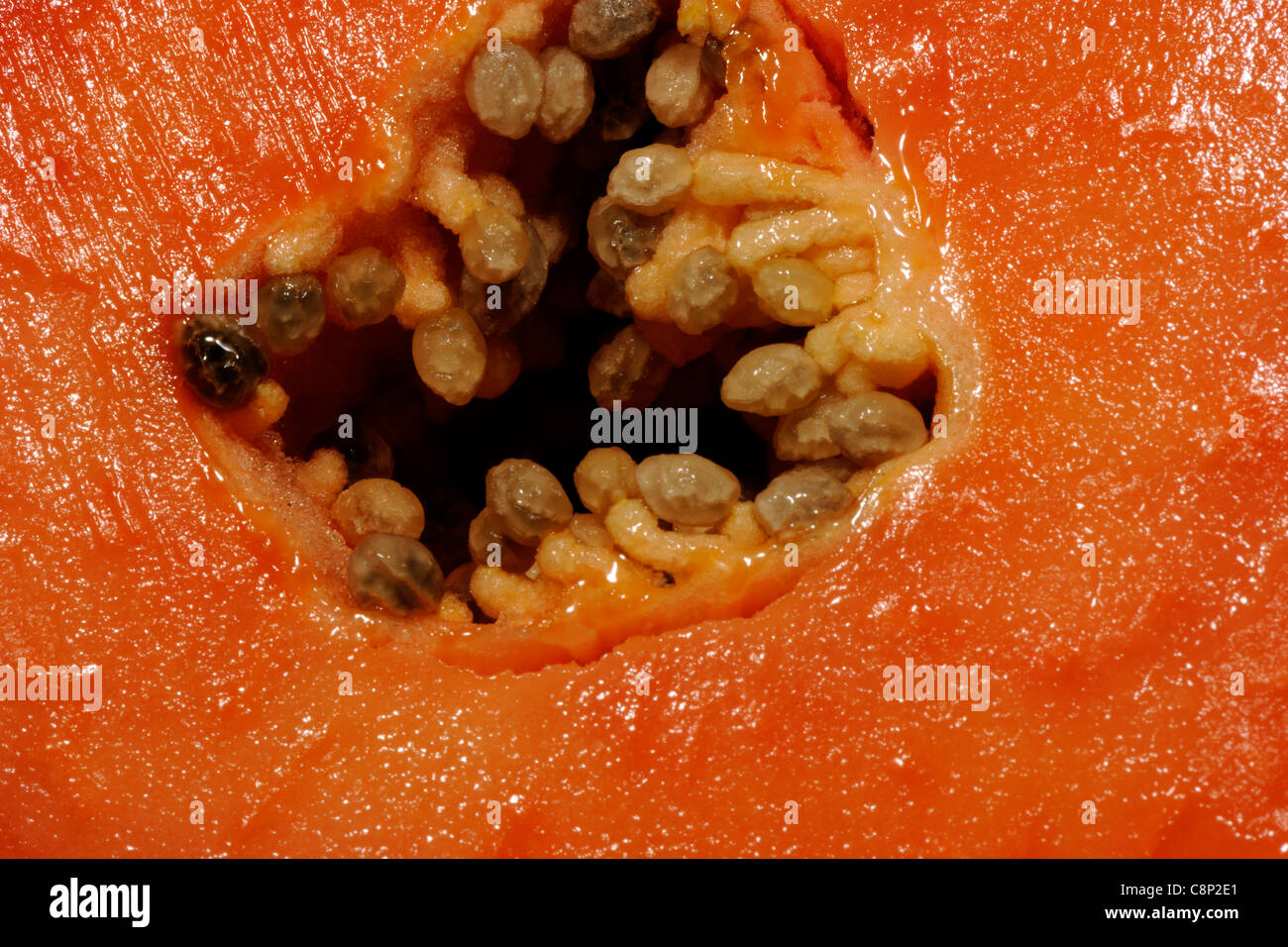 Papaya (Carica papaya) section showing seeds Stock Photo