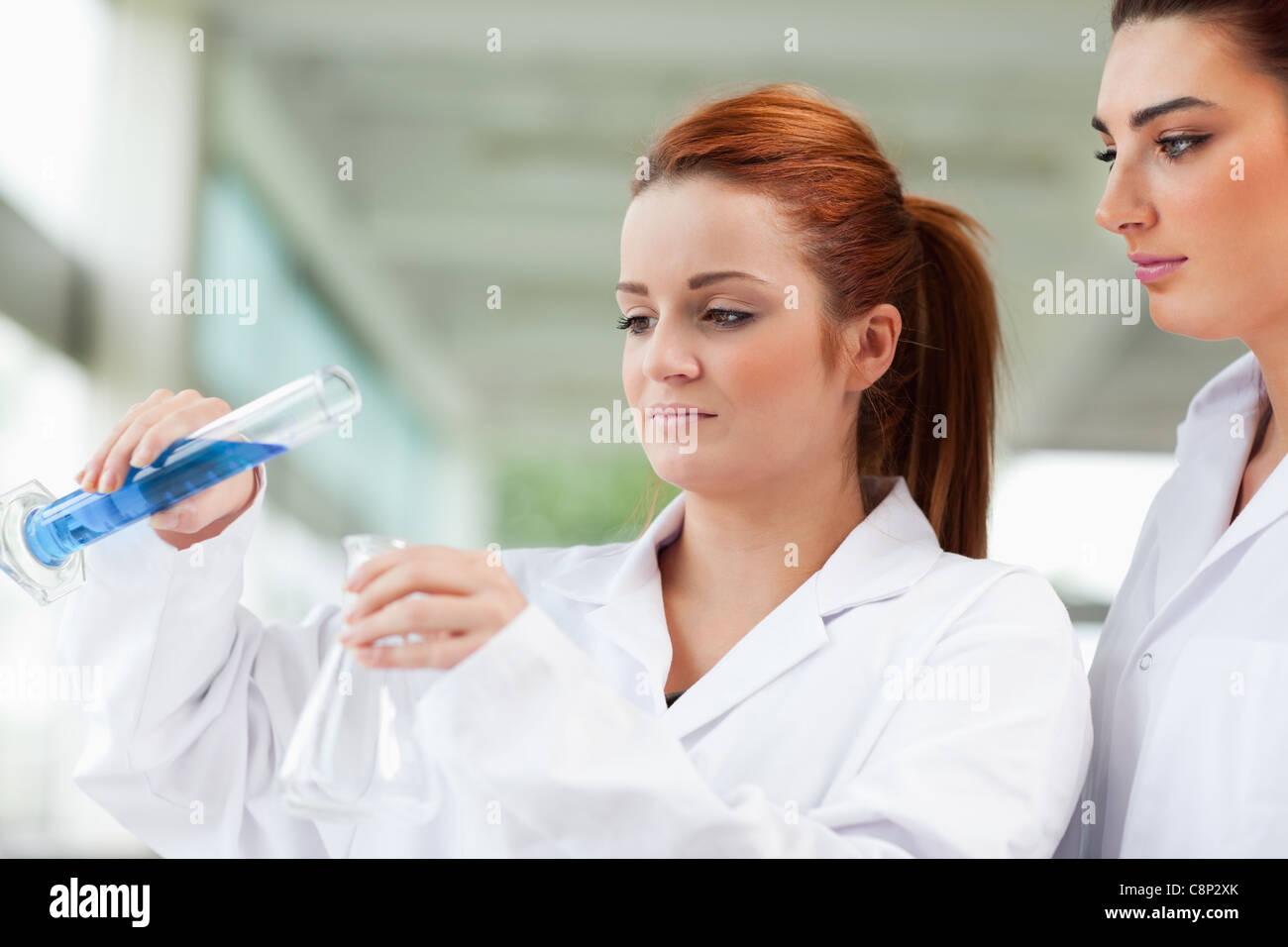 Scientists pouring liquid in an Erlenmeyer flask Stock Photo