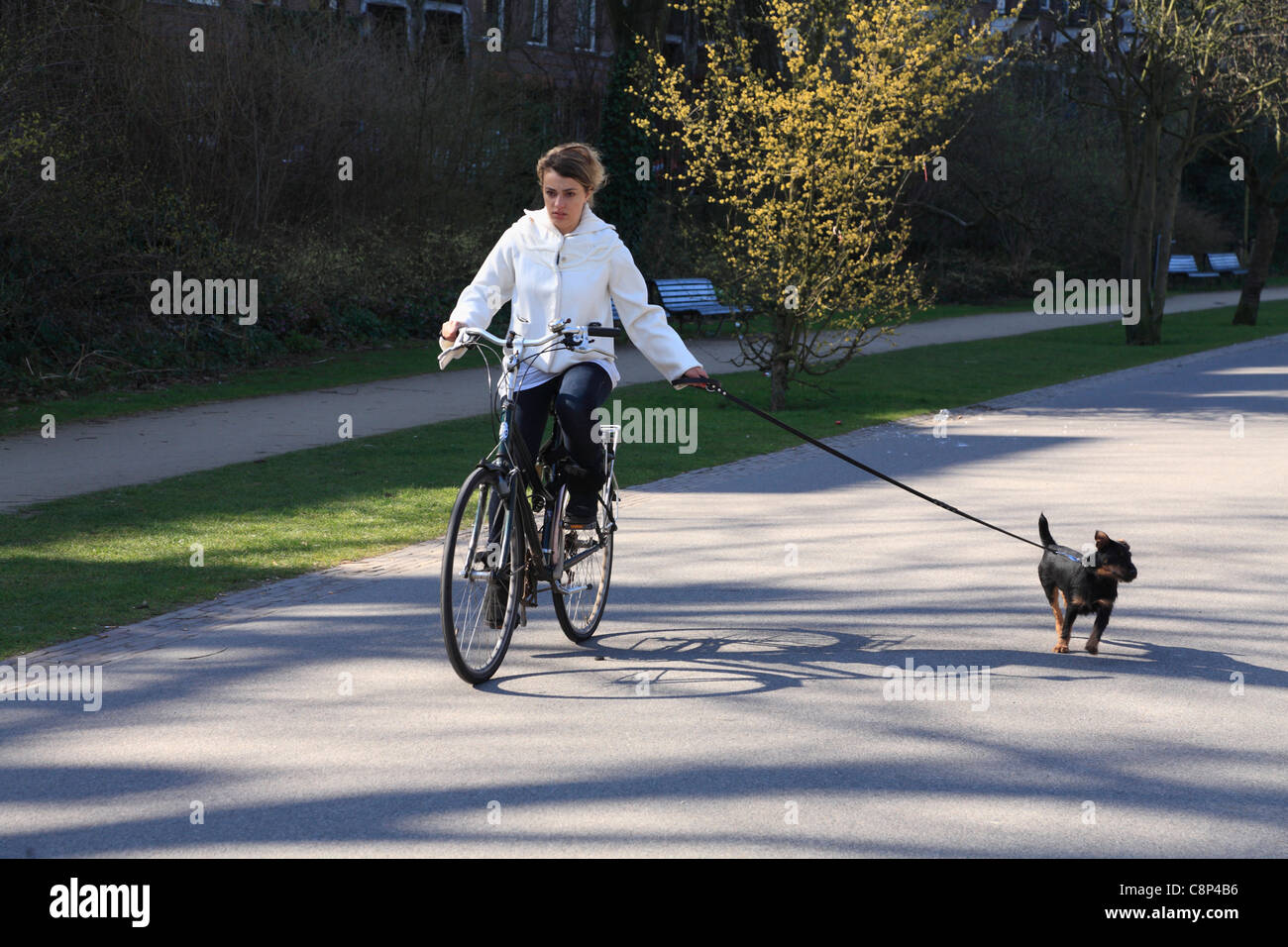 Do I Need A Bike To Walk Dogs