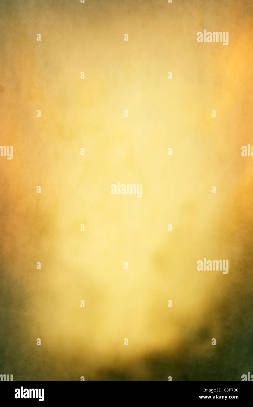 Old real parchment paper textured background with natural