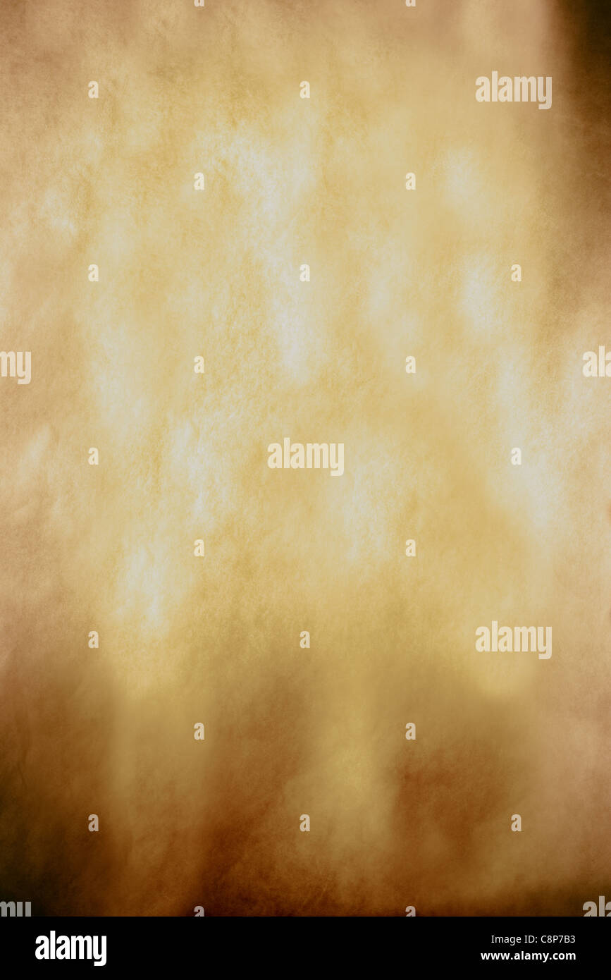 Old real parchment paper textured background with natural