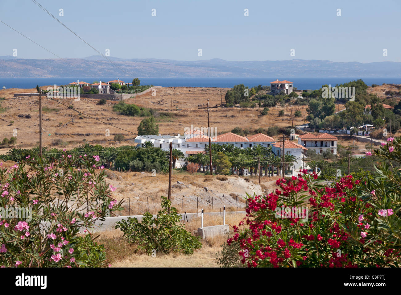 Road, houses and flowers at Mithymna, Lesbos, Greece Stock Photo