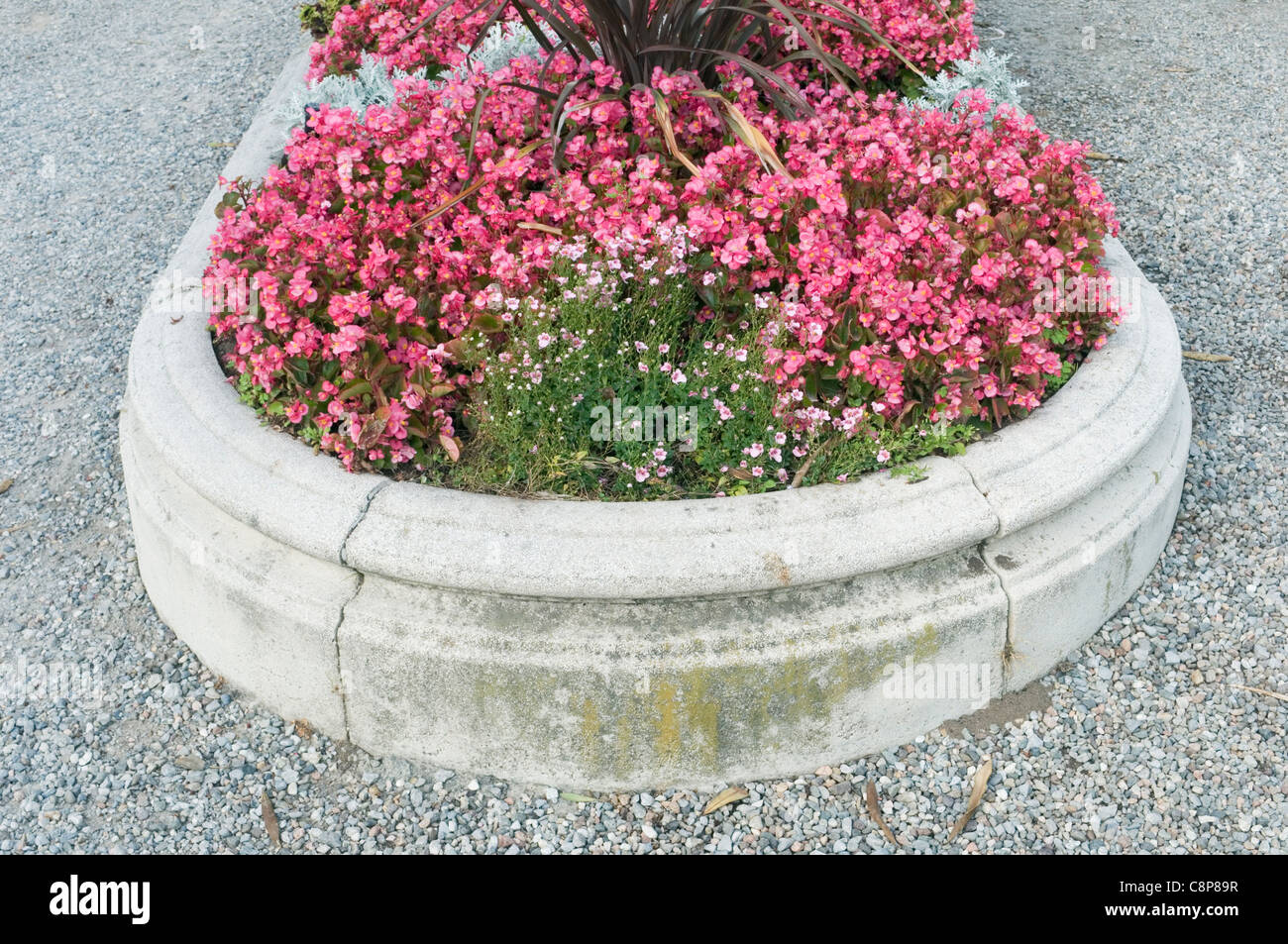 flowerbed along the street Stock Photo
