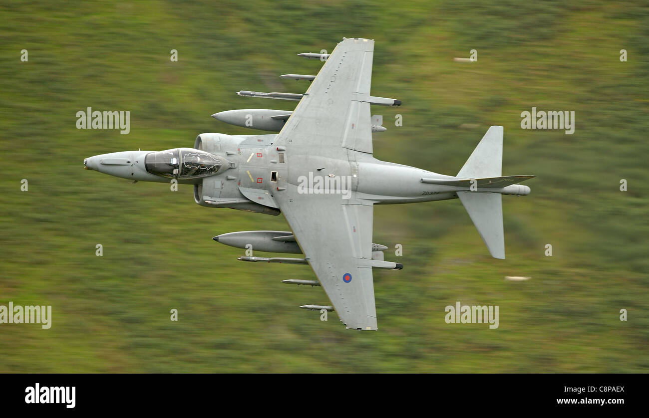 Harrier GR9 Low fly training mid Wales Stock Photo